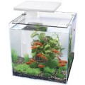 SUPERFISH QUBIQ 30 PRO WHITE